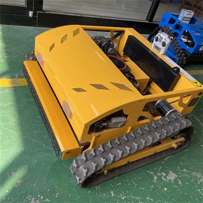 Aia kaugjuhtimispuldiga muruniidukid